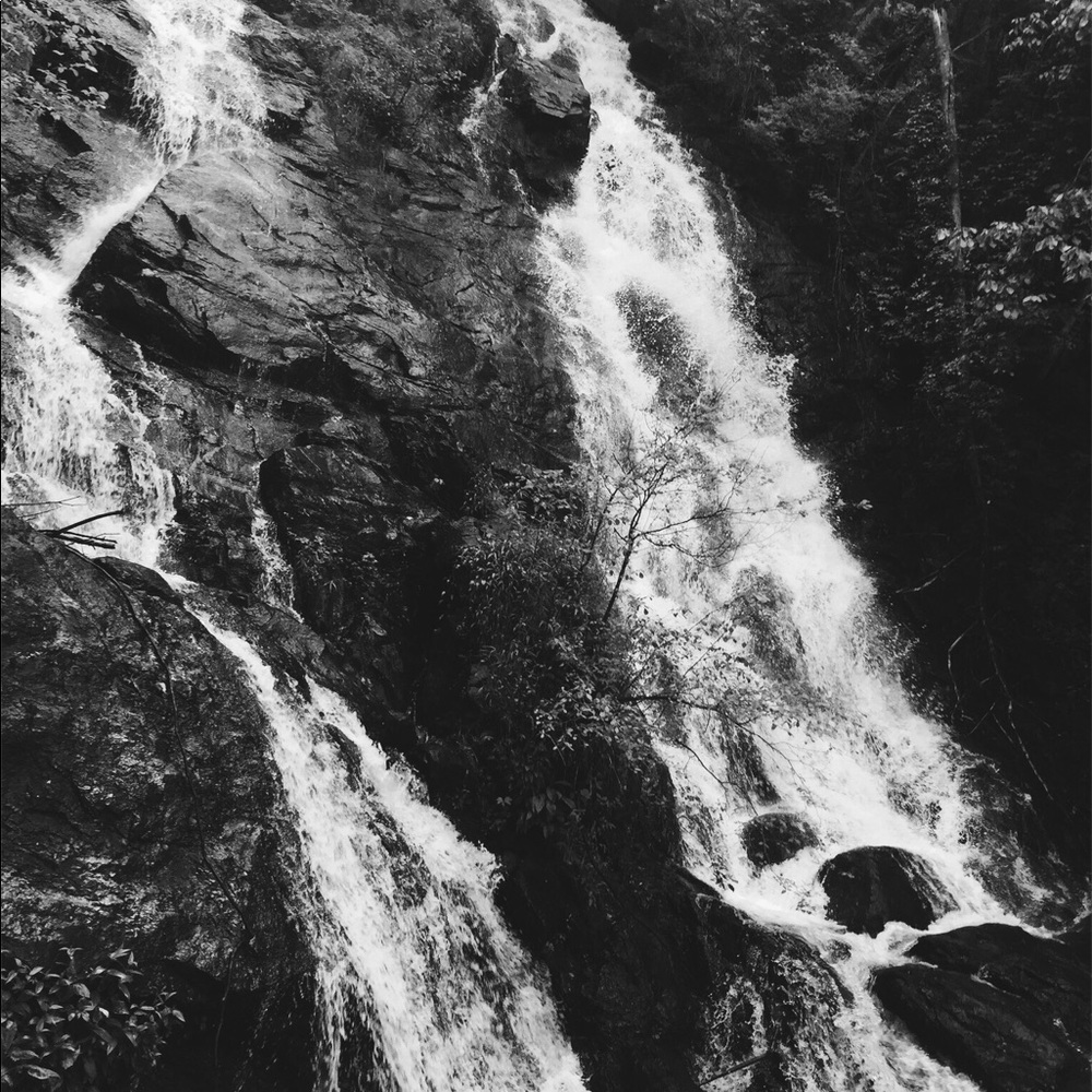 Meet your Posher, Gracey